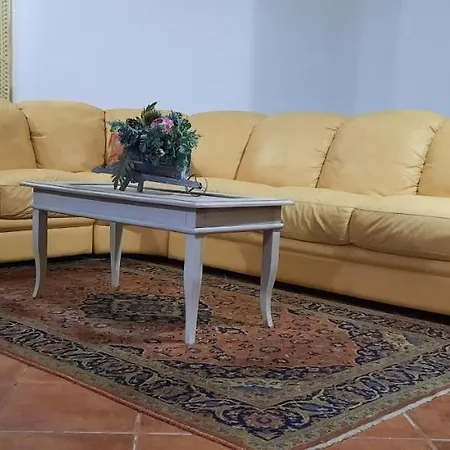 Open Space Armonia Con Patio Iun P2030